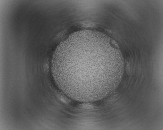 X0000073840668200608241018