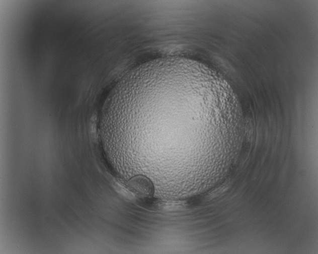 X0000073840670200608241018