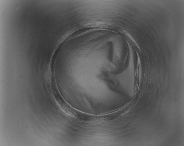 X0000073840674200608241017