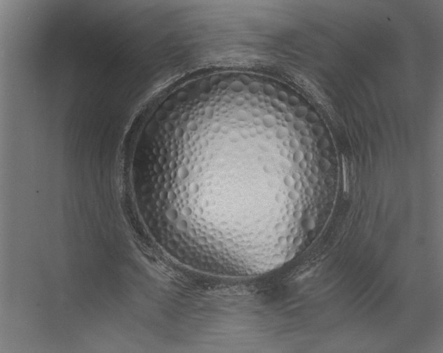 X0000073840675200608241017