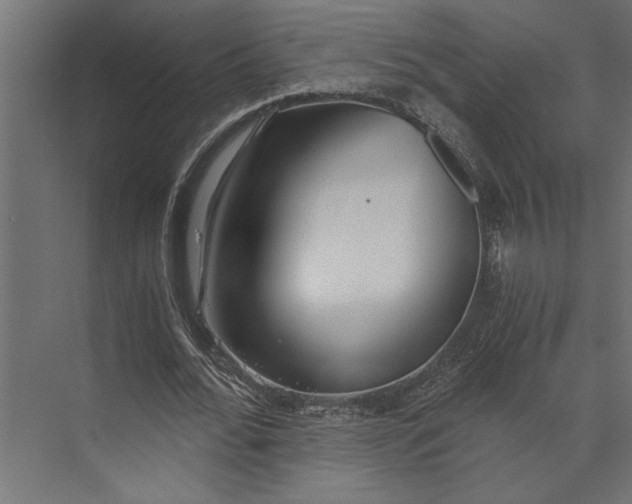 X0000073840676200608241017