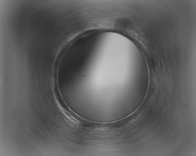 X0000073840677200608241017