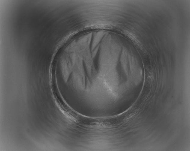 X0000073840678200608241017