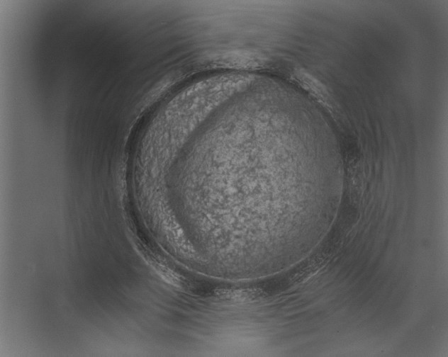 X0000073840679200608241017