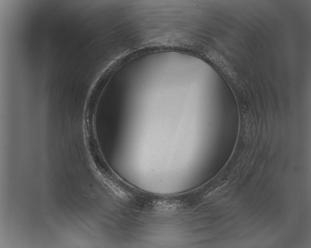 X0000073840680200608241017