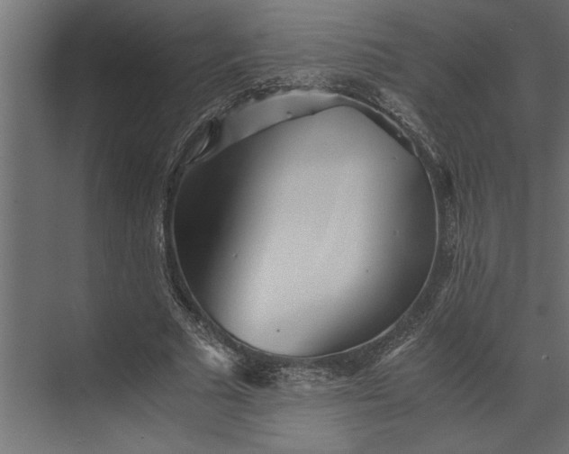 X0000073840681200608241017