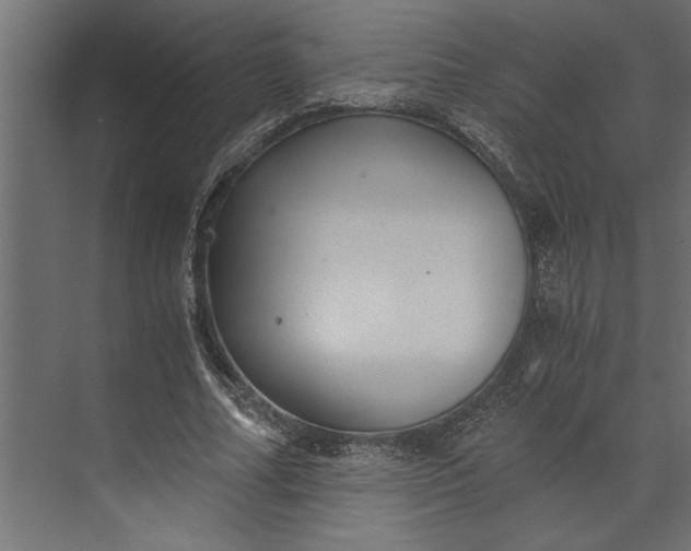 X0000073840682200608241017