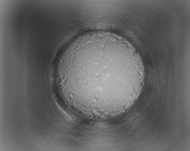 X0000073840683200608241017