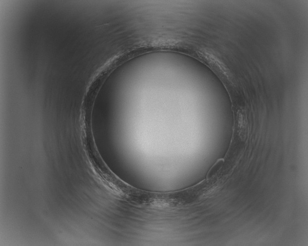 X0000073840684200608241017