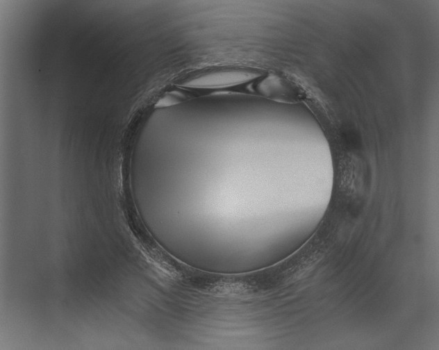 X0000073840685200608241017