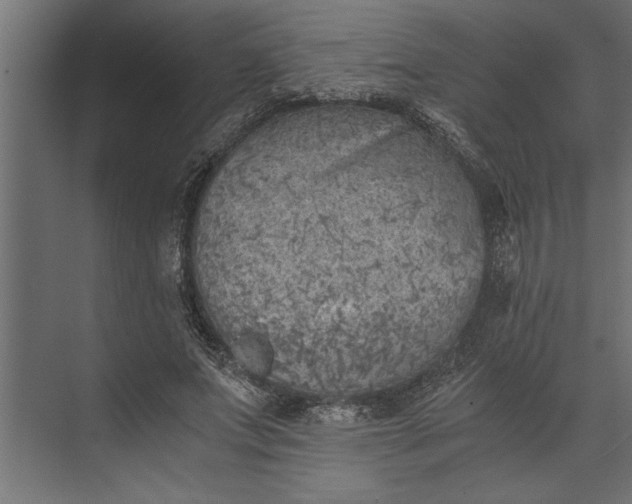 X0000073840687200608241017