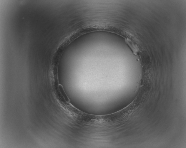 X0000073840688200608241017