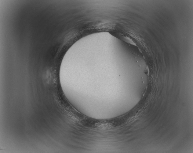 X0000073840689200608241017