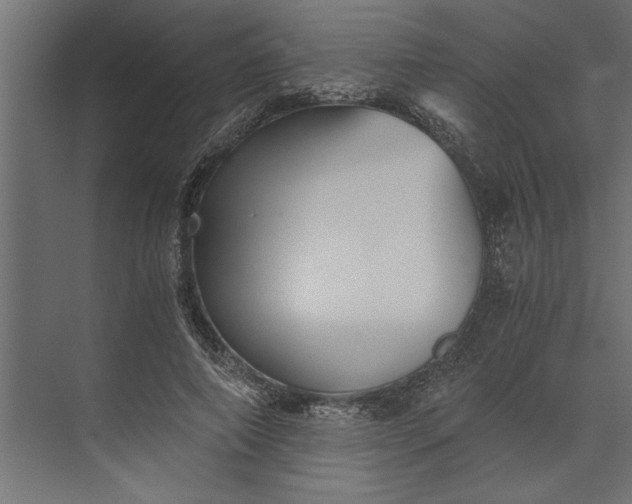 X0000073840690200608241017