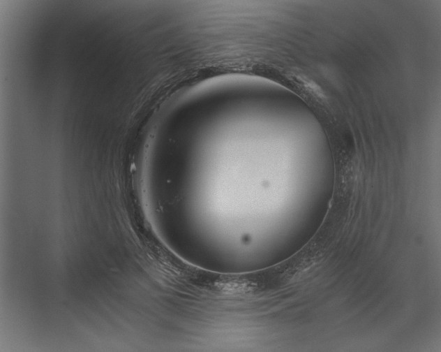 X0000073840693200608241017