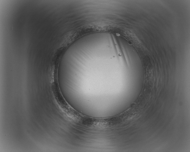 X0000073840694200608241017