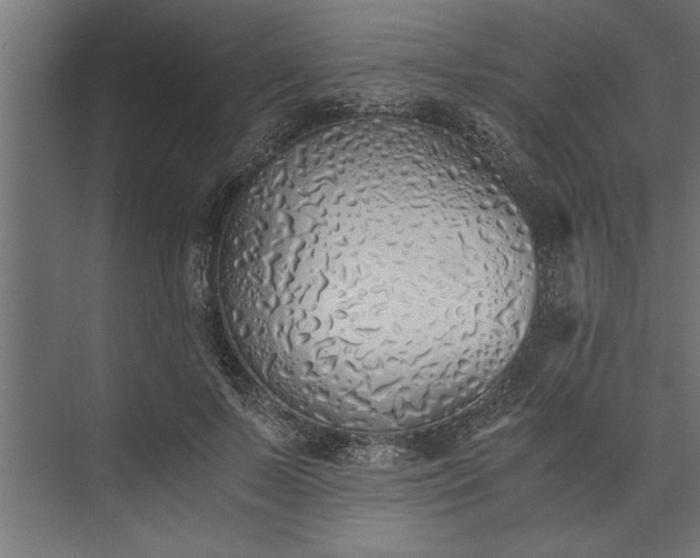 X0000073840695200608241017