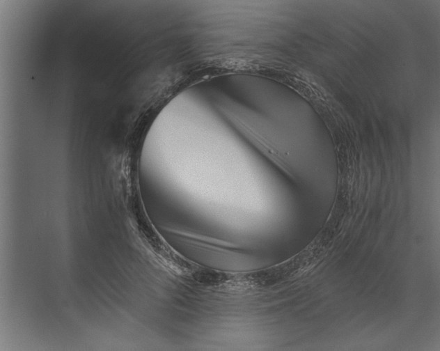 X0000073840696200608241017