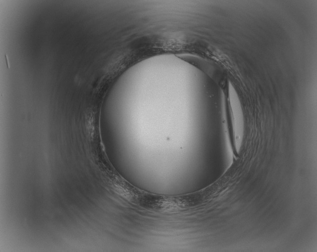 X0000073840697200608241017