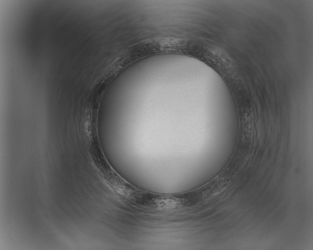 X0000073840698200608241017