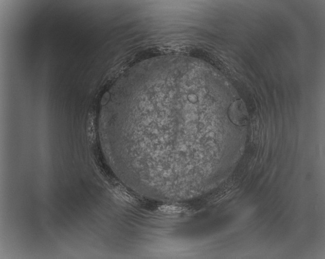 X0000073840699200608241017