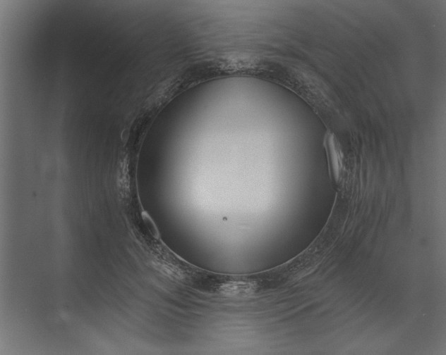 X0000073840700200608241017