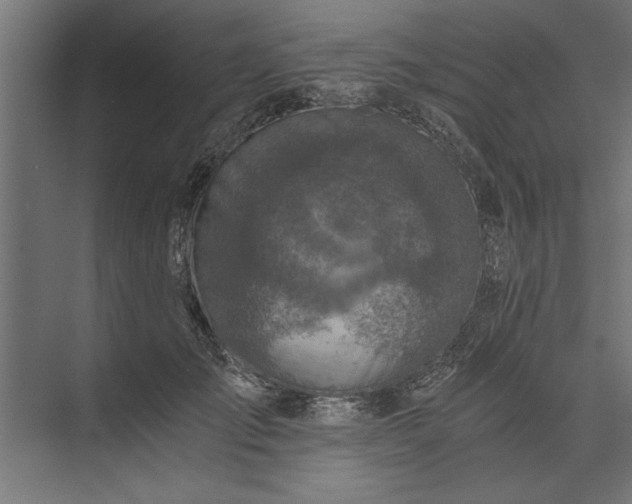 X0000073840701200608241017