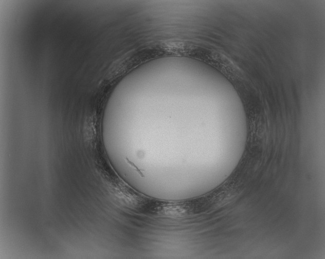 X0000073840702200608241017