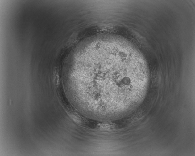 X0000073840703200608241017