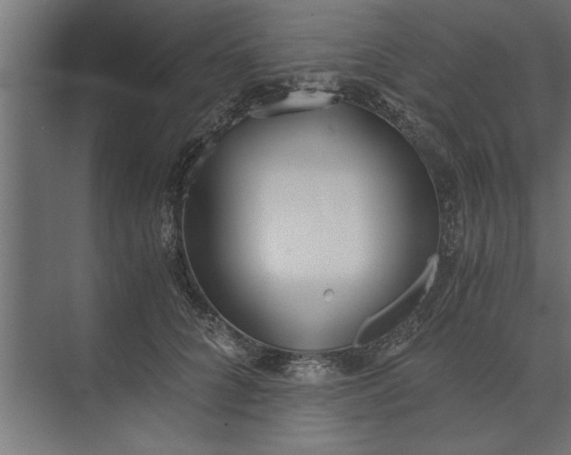 X0000073840704200608241017