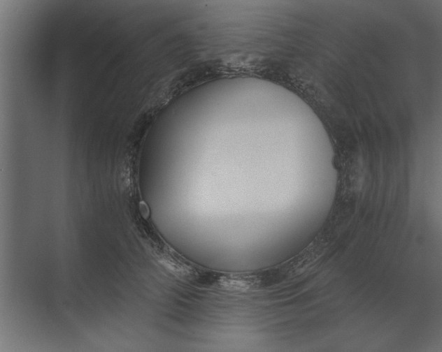 X0000073840706200608241017