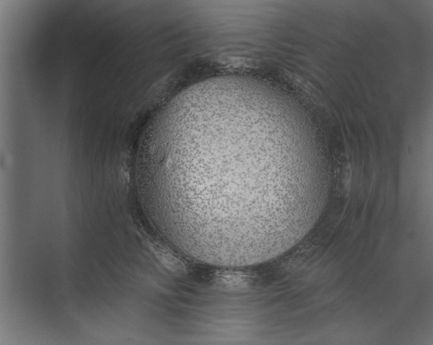 X0000073840710200608241017