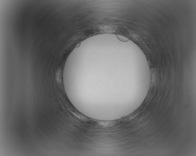 X0000073840713200608241017