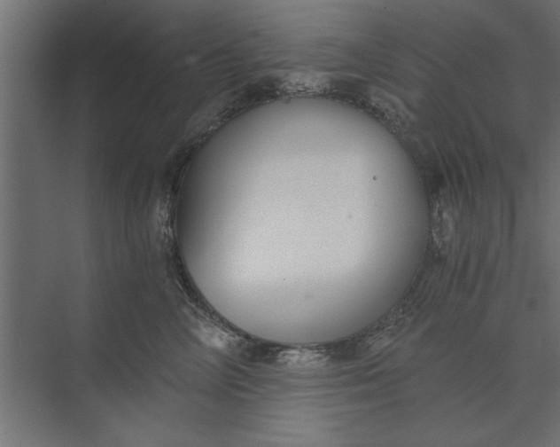 X0000073840714200608241017