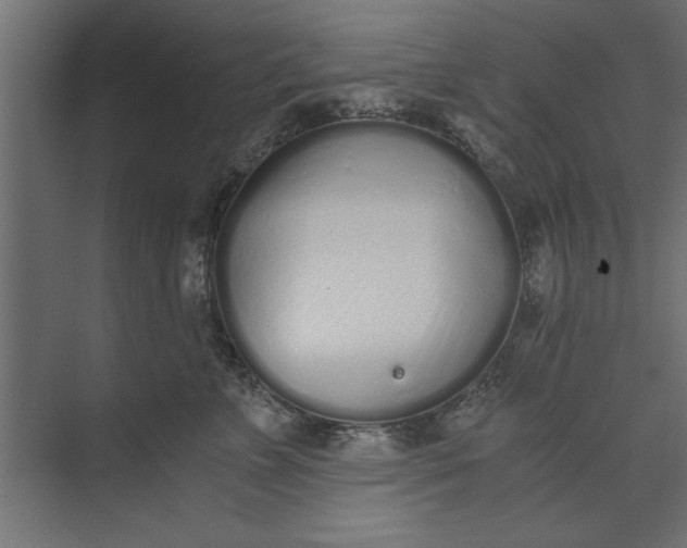 X0000073840715200608241017