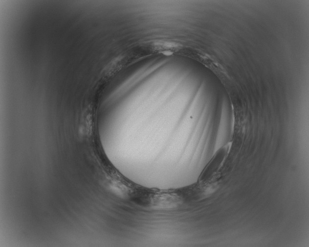 X0000073840716200608241017