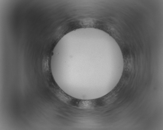 X0000073840717200608241017