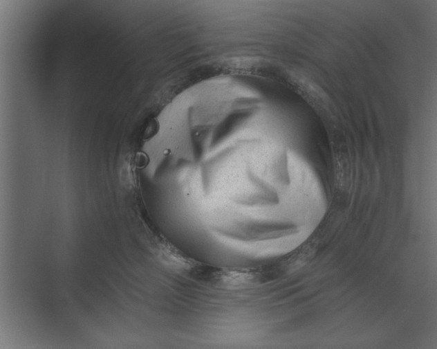 X0000073840718200608241017