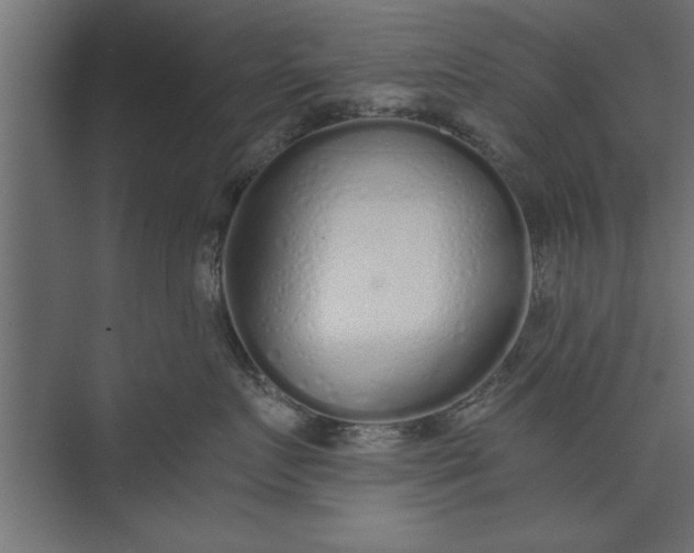 X0000073840719200608241017