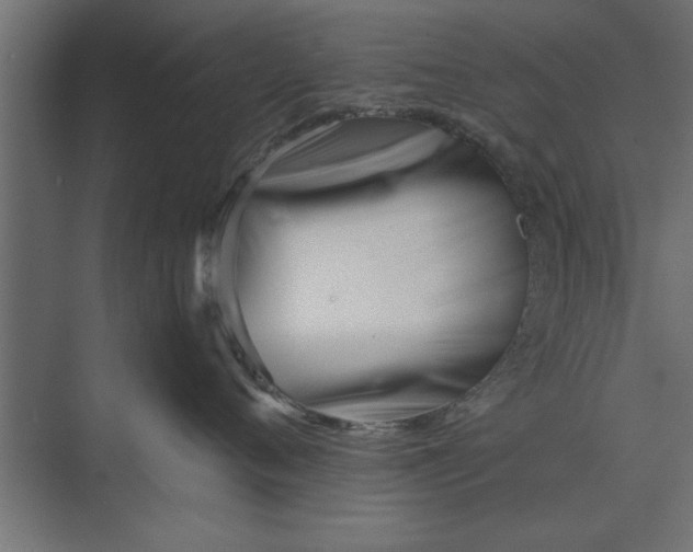 X0000073840720200608241017