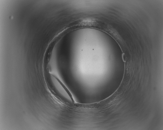 X0000073840722200608241016