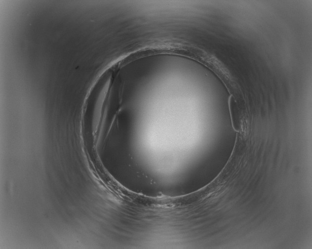 X0000073840724200608241016