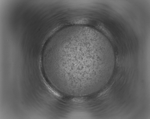 X0000073840725200608241016