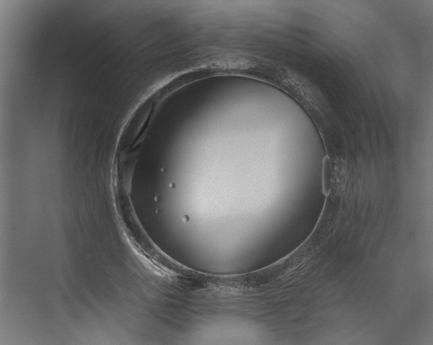 X0000073840726200608241016