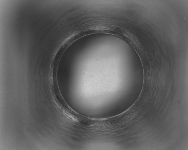 X0000073840727200608241016