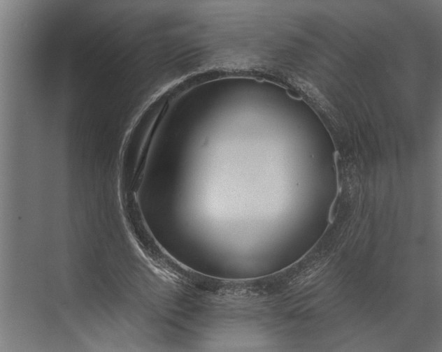 X0000073840728200608241016