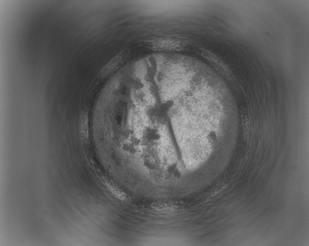 X0000073840729200608241016