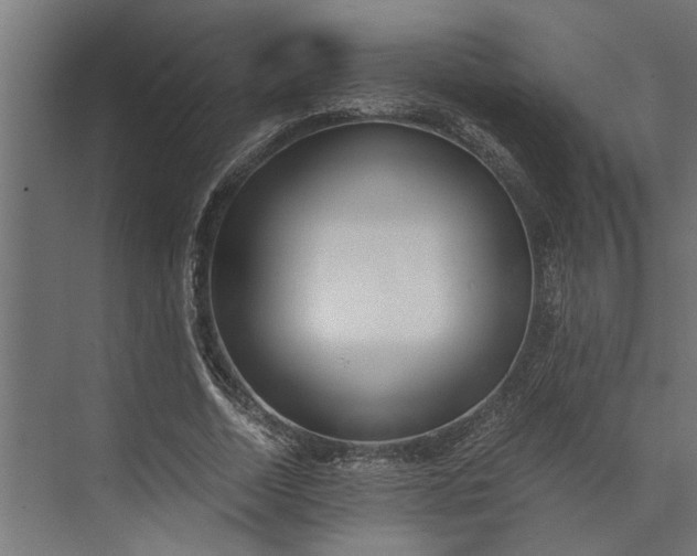 X0000073840730200608241016