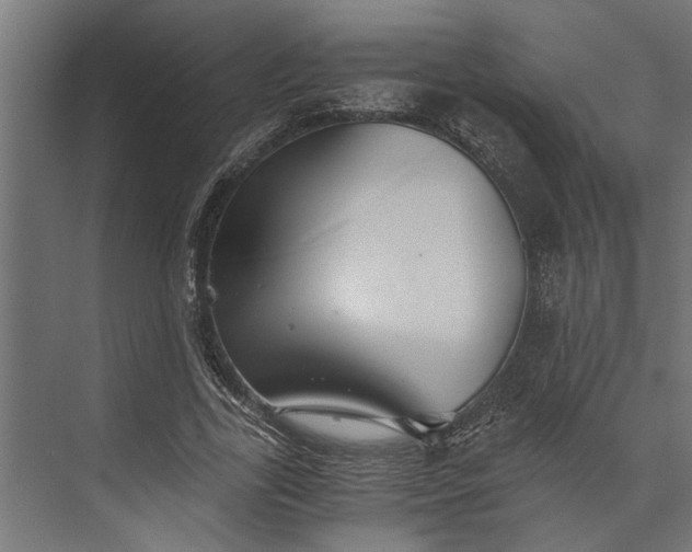 X0000073840731200608241016