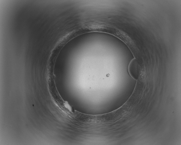 X0000073840732200608241016